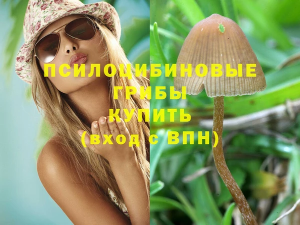 гашик Балабаново