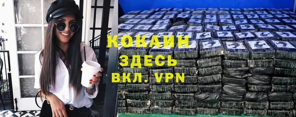 шишки Балахна