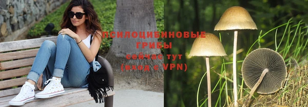 шишки Балахна