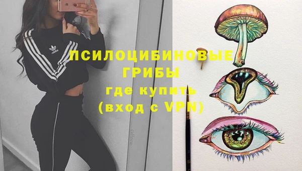 гашик Балабаново