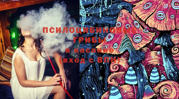 шишки Балахна