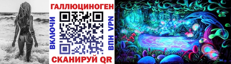 магазин    Урень  Псилоцибиновые грибы Cubensis 